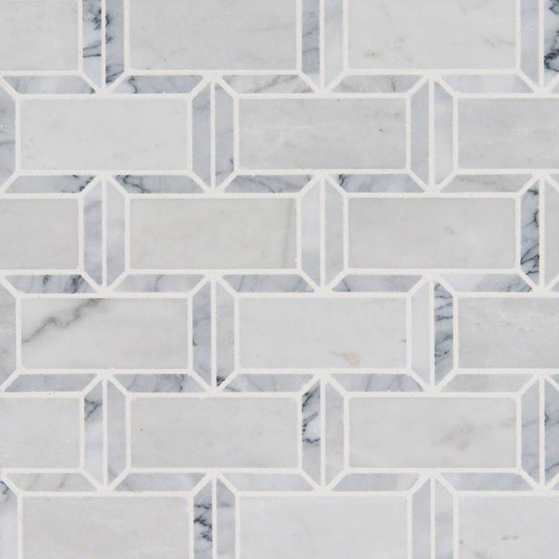 CARRARA MARBLE FRAMEWORK 3-D 2X4 POLISHED MOSAIC